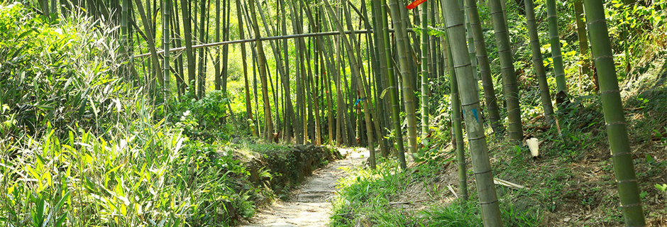 未標題-2.jpg